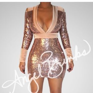 NWT Angel Brinks Bistro Chic Dress